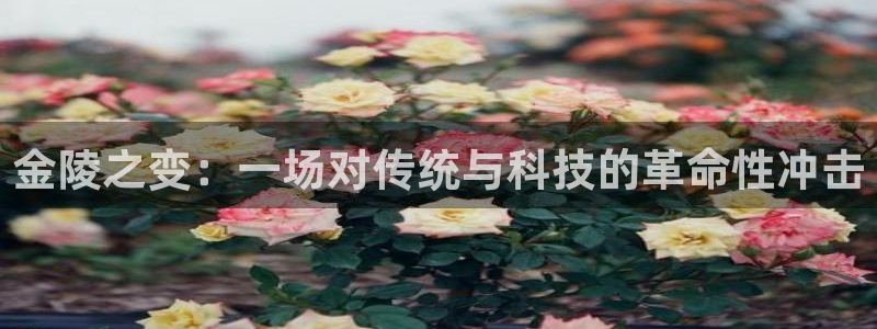 球速体育QsTY官方正版app娱乐代理怎么样:金陵之变:一场