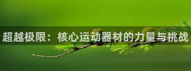 球速体育QsTY官方正版app娱乐是那个系列的台子:超越极限