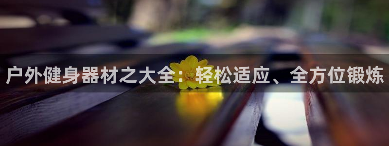 球速体育QsTY官网下载平台是正规平台吗知乎:户外健身器材之